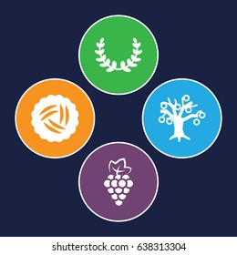 Branch icons set. set of 4 branch filled icons such as nest, grape, olive wreath