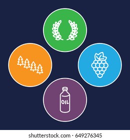 Branch icons set. set of 4 branch outline icons such as grape, oil, pine tree
