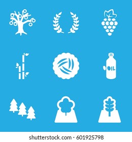 branch icons set. Set of 9 branch filled icons such as nest, grape, oil, pine tree, bamboo, tree, olive branch