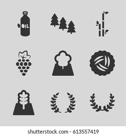 Branch icons set. set of 9 branch filled icons such as nest, grape, oil, pine tree, bamboo, tree, olive branch