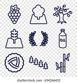 Branch icons set. set of 9 branch outline icons such as nest, grape, oil, pine tree, bamboo, tree, olive branch
