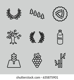 Branch icons set. set of 9 branch outline icons such as nest, grape, oil, pine tree, bamboo, tree, olive branch, olive wreath