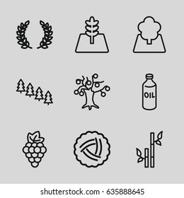 Branch icons set. set of 9 branch outline icons such as nest, grape, oil, pine tree, bamboo, tree, olive branch