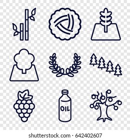 Branch icons set. set of 9 branch outline icons such as nest, grape, oil, pine tree, bamboo, tree, olive wreath