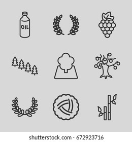 Branch icons set. set of 9 branch outline icons such as nest, grape, oil, pine tree, bamboo, tree, olive branch, olive wreath