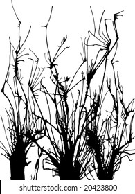 branch illustration vector