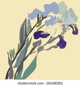 branch irises.