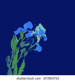 Branch of irises, copy space. Hand drawn.