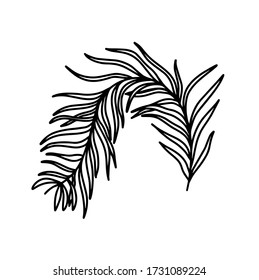 A branch isolated on a white background. The branch of the olive tree. Vegetation. Plant elements. Vector illustration in the Doodle style.