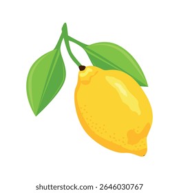 Um ramo de limão suculento e maduro com folhas. Cultivo de legumes e bagas em casa em uma varanda ou janela. Ilustração vetorial.