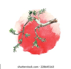 Branch of juniper tree against the sun, watercolor vector illustration