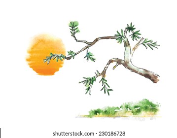 Branch of juniper tree against the sun, watercolor vector illustration