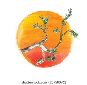 Rama del árbol del enebro contra el sol, ilustración del vector acuarela