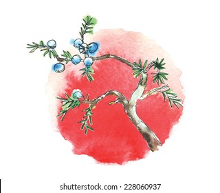 Branch of juniper tree and sun, watercolor vector illustration