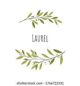 Branch of laurel arranged in circle. Simple vector illustration for card, packing, menu and  label