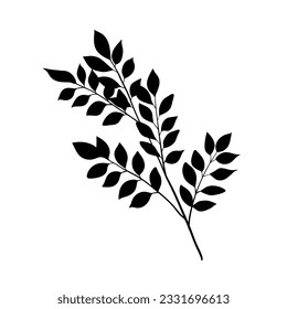 Branch of laurel tree with leaves, black silhouette on white. Hand drawn sketch, minimal stencil design. Vector for floral print, eco product package, botanical, forest and garden illustration.