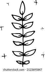 Branch, leaf. Black and white illustration in the doodle style.