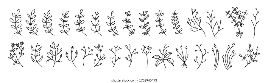 Zweig- und Blattbotanischer Liniensatz. Umriss schwarz verschiedene schöne Blumendesign-Elemente. Farbige, florale Cartoon-Ökokollektion. Schöne, isolierte Grüne sprießen. Vektorgrafik