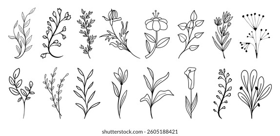 branch leaf and flower element set. Hand drawn sketch doodle black leaves floral element for wedding background, elegant design. Vector illustration.