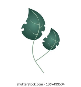 branch with leaf foliage botancial icon isolated vector illustration