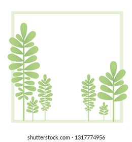 branch and leaf with frame isolated icon