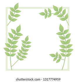 branch and leaf with frame isolated icon