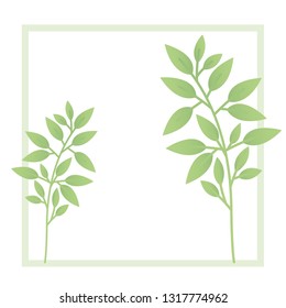 branch and leaf with frame isolated icon