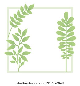 branch and leaf with frame isolated icon
