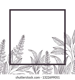 branch and leaf with frame isolated icon