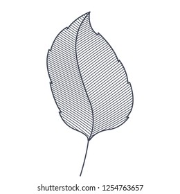 branch with leaf isolated icon