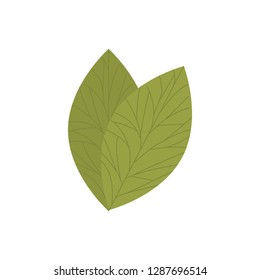 branch with leaf isolated icon