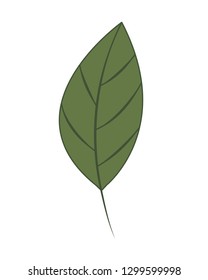 branch with leaf isolated icon