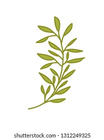 branch with leaf isolated icon