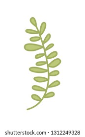 branch with leaf isolated icon