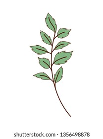 branch with leaf isolated icon