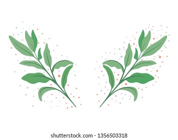 branch with leaf isolated icon