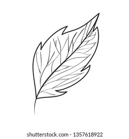 branch with leaf isolated icon