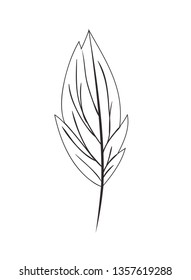 branch with leaf isolated icon