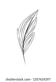 branch with leaf isolated icon