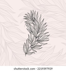 Branch leaf line hand drawn style. One object vintage design. Elegant plant William Moriss drawing style. Vector illustration.