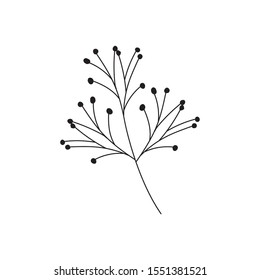 branch with leaf on white background vector illustration design