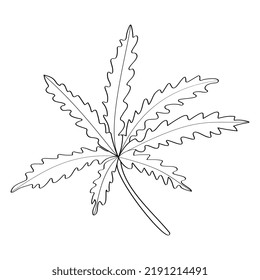 Una rama con una hoja sobre un fondo blanco. Diseño de ilustración vectorial. Una simple ilustración de una rama con una hoja. 