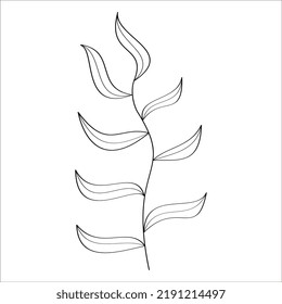 A branch with a leaf on a white background. Vector illustration design. A simple illustration of a branch with a leaf. 