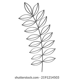 A branch with a leaf on a white background. Vector illustration design. A simple illustration of a branch with a leaf. 