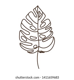 branch with leaf of summer in white background