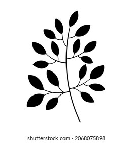 Branch and leaf vector botanical illustration. Boho foliage line art. Christmas Forest greenery clipart.