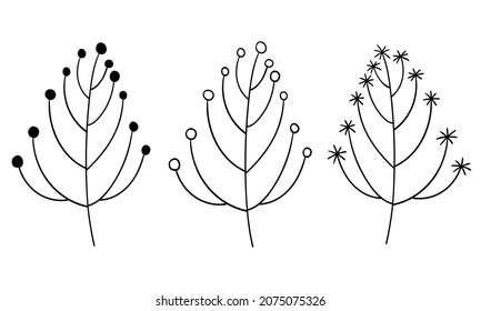 Branch and leaf vector botanical illustration. Christmas Forest greenery clipart. Modern minimalism neutral elements.