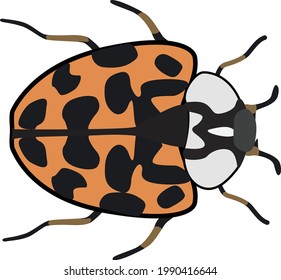 ramificación con hojas, arte hermoso y vectorial, hojas múltiples.
