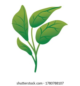 branch with leafs botanical gradient style icon vector illustration design