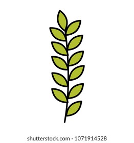 branch with leafs decorative icon